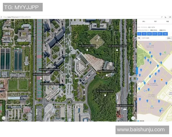深圳排球队技术揭秘：从基础训练到战术运用的全景分析